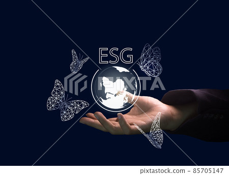 Man hand holding ESG icon concept, Environmental, social and corporate governance , idea for sustainable organizational development. 85705147