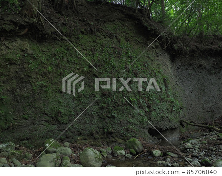三重縣菱山東海自然步道 三重縣菱山東海自然步道 85706040