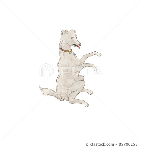 Canis Major, constellation picture, winter constellation, color 85706155