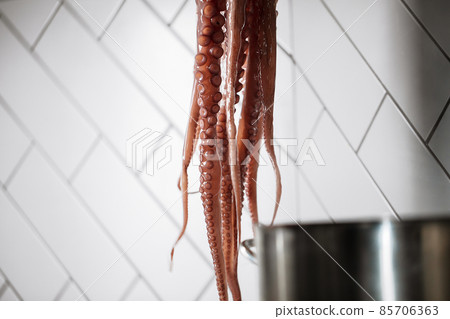 Hanging raw octopus in restaurant kitchen ready for cooking 85706363