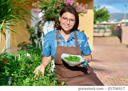 Middle aged woman with bowl of fresh mint, home herbal scented garden Middle aged woman with bowl of fresh mint, home herbal scented garden 85706917