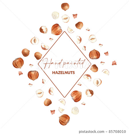 Frame of hazelnuts isolated on white. Raw nuts with shell and unpeeled nuts. Hand drawn watercolor illustration of organic food for label, greeting card, packaging design. Frame of hazelnuts isolated on white. Raw nuts with shell and unpeeled nuts. Hand drawn watercolor illustration of organic food for label, greeting card, packaging design. 85708010