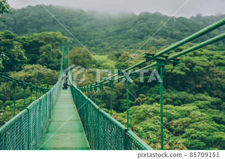 Costa Rica travel hiking destination in Central America. Forest of Parque Nacional Corcovado. Suspended bridge in rainforest 85709151