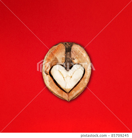 Funny Minimalistic Saint Valentine Day concept, open half of walnut with core looking like heart or owl Funny Minimalistic Saint Valentine Day concept, open half of walnut with core looking like heart or owl 85709245