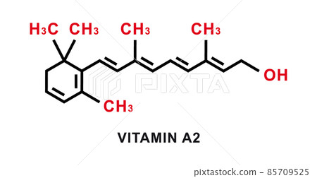 Vitamin A2 chemical formula. Vitamin A2 chemical molecular structure. Vector illustration 85709525