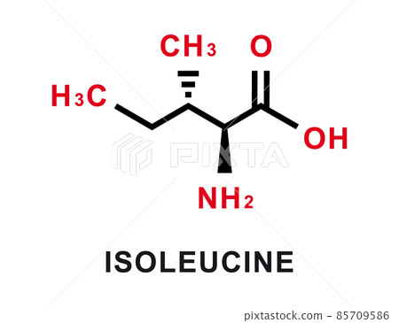 Isoleucine chemical formula. Isoleucine chemical molecular structure. Vector illustration 85709586