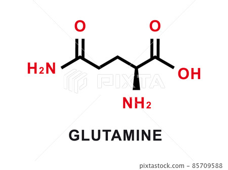 Glutamine chemical formula. Glutamine chemical molecular structure. Vector illustration 85709588