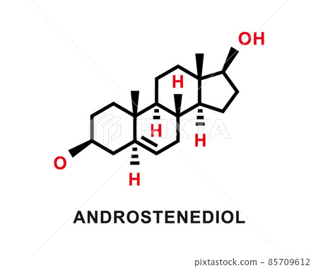 Androstenediol chemical formula. Androstenediol chemical molecular structure. Vector illustration Androstenediol chemical formula. Androstenediol chemical molecular structure. Vector illustration 85709612