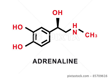 Adrenaline chemical formula. Adrenaline chemical molecular structure. Vector illustration 85709616