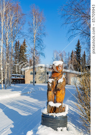 Sunny view of winter landscape 85709943