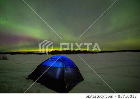 Beauitful aurora over the night sky  with a blue tent below at Chena Lakes 85710018
