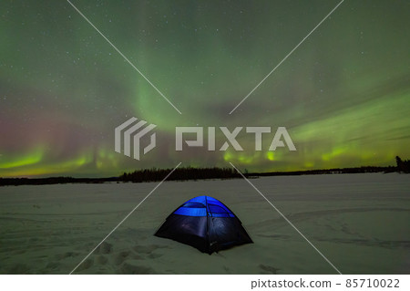 Beauitful aurora over the night sky  with a blue tent below at Chena Lakes 85710022