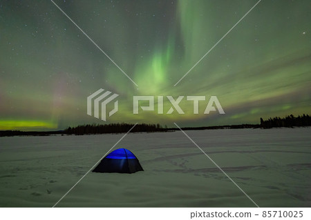 Beauitful aurora over the night sky  with a blue tent below at Chena Lakes 85710025