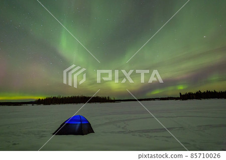 Beauitful aurora over the night sky with a blue tent below at Chena Lakes Beauitful aurora over the night sky with a blue tent below at Chena Lakes 85710026