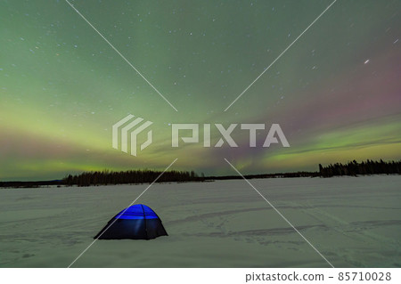Beauitful aurora over the night sky with a blue tent below at Chena Lakes Beauitful aurora over the night sky with a blue tent below at Chena Lakes 85710028