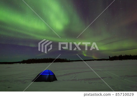 Beauitful aurora over the night sky  with a blue tent below at Chena Lakes 85710029