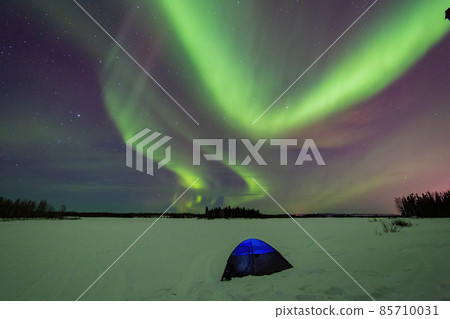 Beauitful aurora over the night sky with a blue tent below at Chena Lakes Beauitful aurora over the night sky with a blue tent below at Chena Lakes 85710031