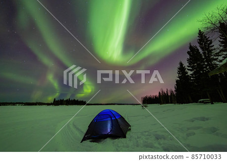 Beauitful aurora over the night sky with a blue tent below at Chena Lakes Beauitful aurora over the night sky with a blue tent below at Chena Lakes 85710033