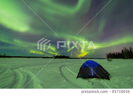 Beauitful aurora over the night sky with a blue tent below at Chena Lakes Beauitful aurora over the night sky with a blue tent below at Chena Lakes 85710036