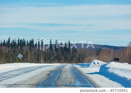 Afternoon landscape in Denali National Park and Preserve 85710041