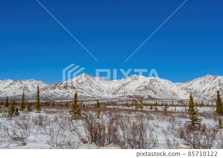 Afternoon landscape in Denali National Park and Preserve Afternoon landscape in Denali National Park and Preserve 85710122