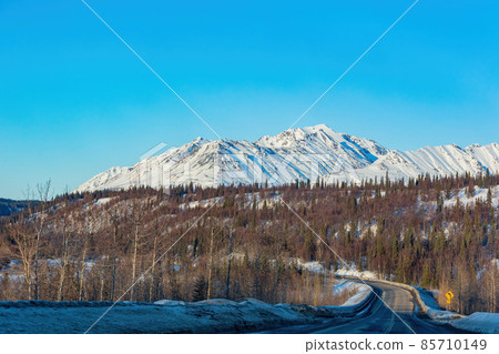 Afternoon landscape in Denali National Park and Preserve 85710149