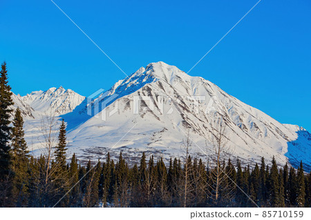 Afternoon landscape in Denali National Park and Preserve Afternoon landscape in Denali National Park and Preserve 85710159