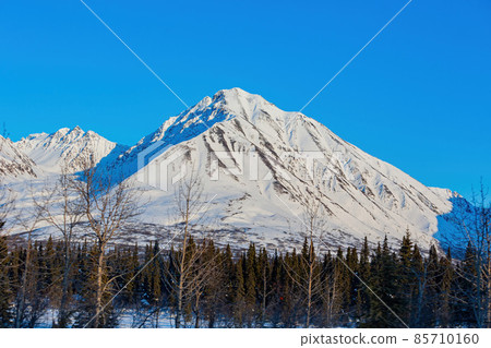 Afternoon landscape in Denali National Park and Preserve 85710160