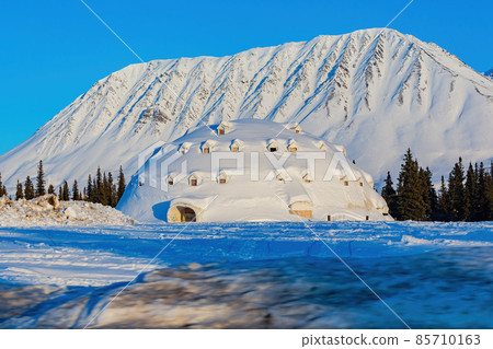 Afternoon landscape in Denali National Park and Preserve 85710163