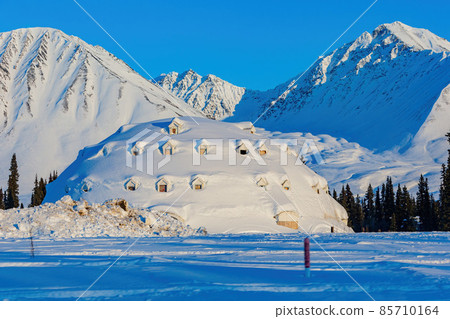 Afternoon landscape in Denali National Park and Preserve 85710164