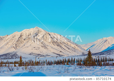 Afternoon landscape in Denali National Park and Preserve 85710174