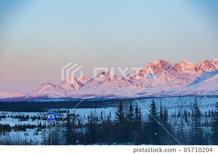 Afternoon landscape in Denali National Park and Preserve 85710204