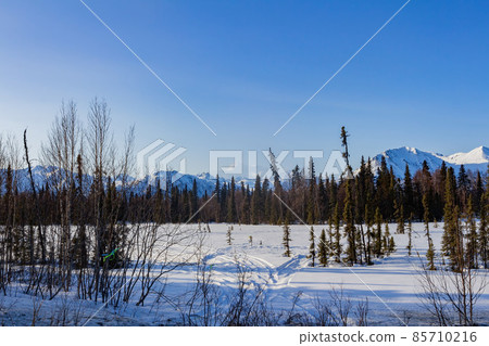 Sunny snowy view of the Denali State Park with Mount McKinley 85710216