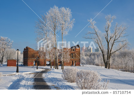 Winter Loshitsa park, Minsk, Belarus. 85710754