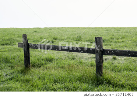 A ranch on a summer morning surrounded by morning mist A ranch on a summer morning surrounded by morning mist 85711405