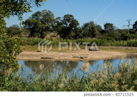 African savannah landscape African savannah landscape 85711525