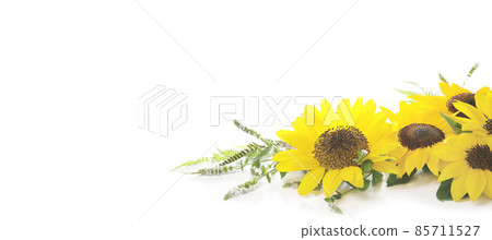 向日葵花 向日葵花 85711527