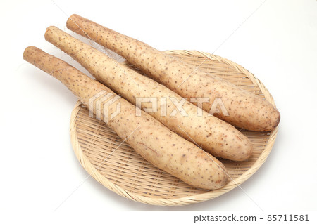 中國山藥 中國山藥 85711581