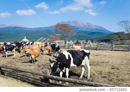 從牧場看到的霧島山脈和奶牛高千穗山 從牧場看到的霧島山脈和奶牛高千穗山 85711662