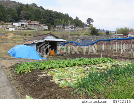 農村田野風景 85712116