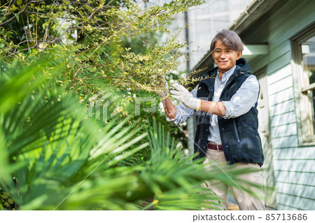 園藝中間人 85713686