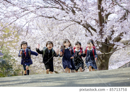 New first grader running in a park where cherry blossoms bloom New first grader running in a park where cherry blossoms bloom 85713758