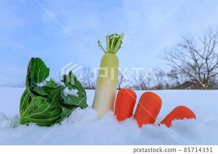 Vegetables under the snow preserved in the snow Image Vegetables under the snow preserved in the snow Image 85714331