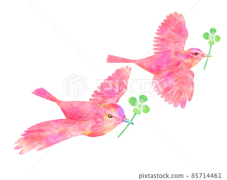 紅鳥四葉草水彩風格手寫風格 85714461