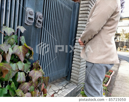 Salesman to visit Salesman to visit 85715050