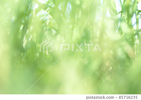 茂盛的野草 茂盛的野草 85716235