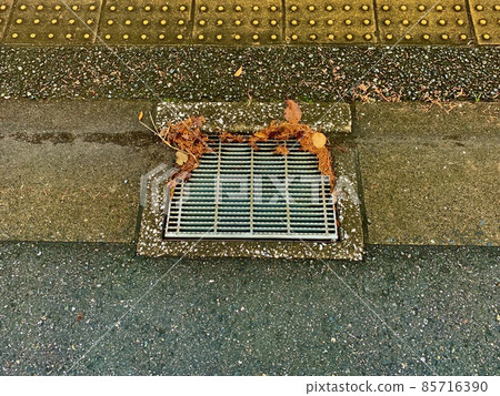 The dead leaves that collect in the gutter lid 85716390