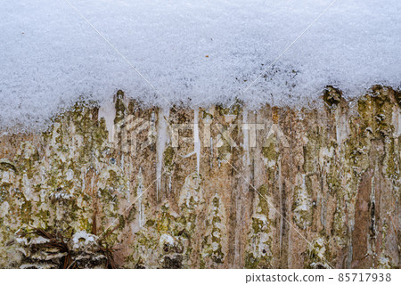 一棵倒下的樹上的凍雪 一棵倒下的樹上的凍雪 85717938