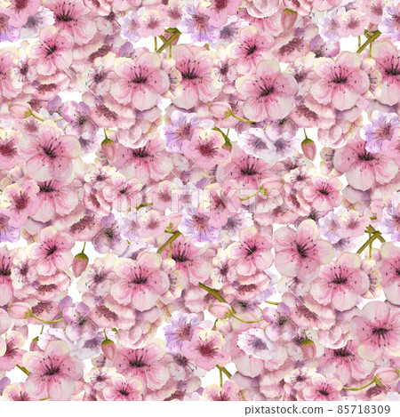 Seamless pattern with blossoming sakura branches on a white background. Watercolor illustration drawn by hand Seamless pattern with blossoming sakura branches on a white background. Watercolor illustration drawn by hand 85718309