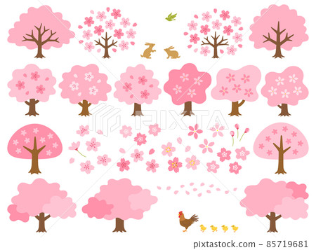 Illustration set of various cherry trees and cherry blossoms 85719681